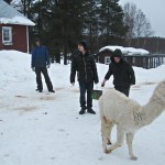 Школьное лесничество