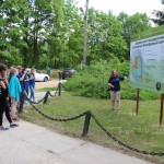 дарвинский  (3)