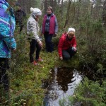 у родника в Калевальском парке