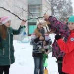 покормите птиц (2)