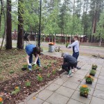 Акция «Цветы Победы»