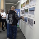 Лесной северный олень. Заповедные истории